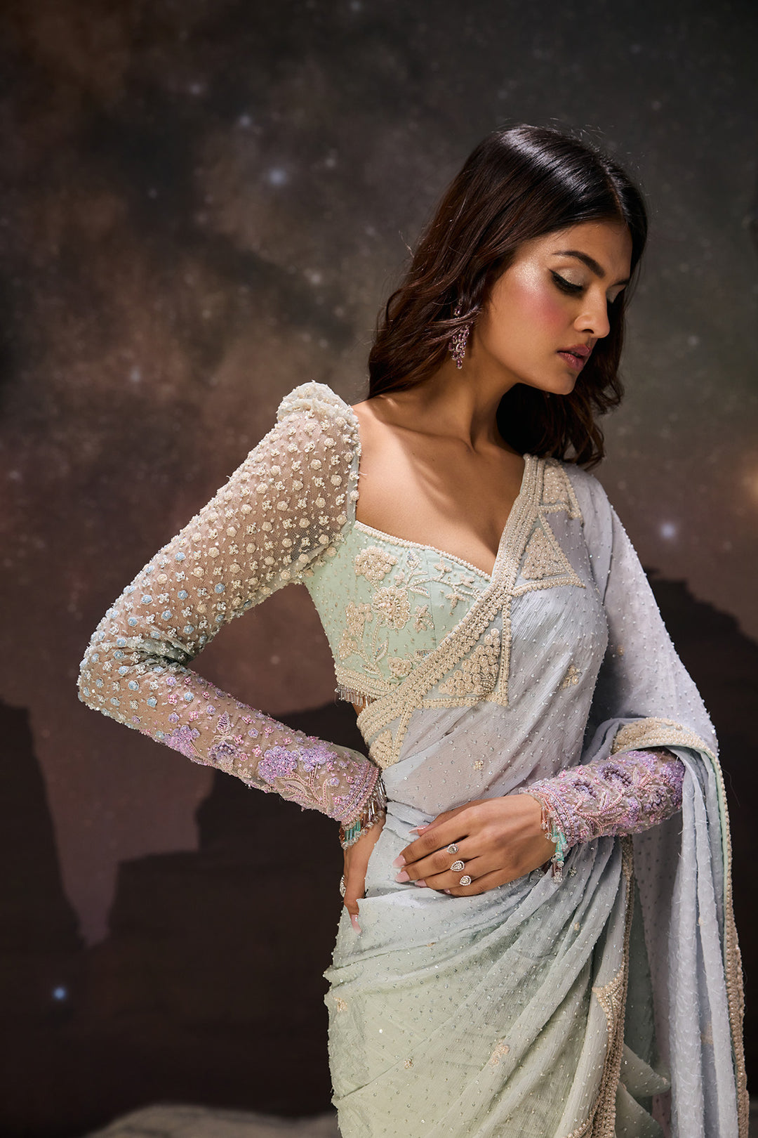 Lunar Radiance Saree