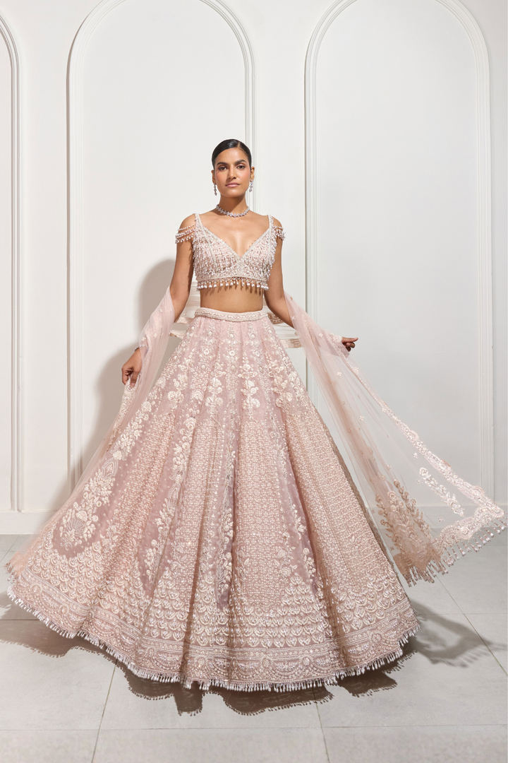 The Early Blossom Lehenga Set