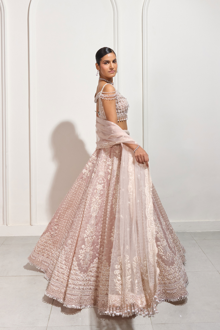 The Early Blossom Lehenga Set