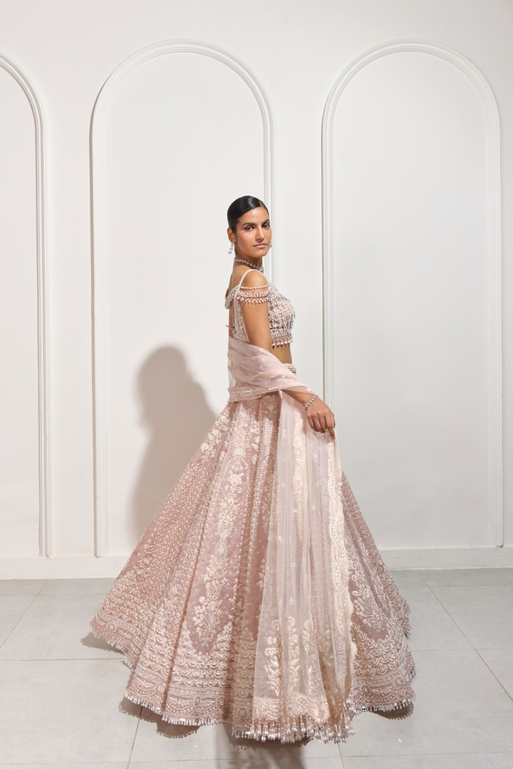 The Early Blossom Lehenga Set