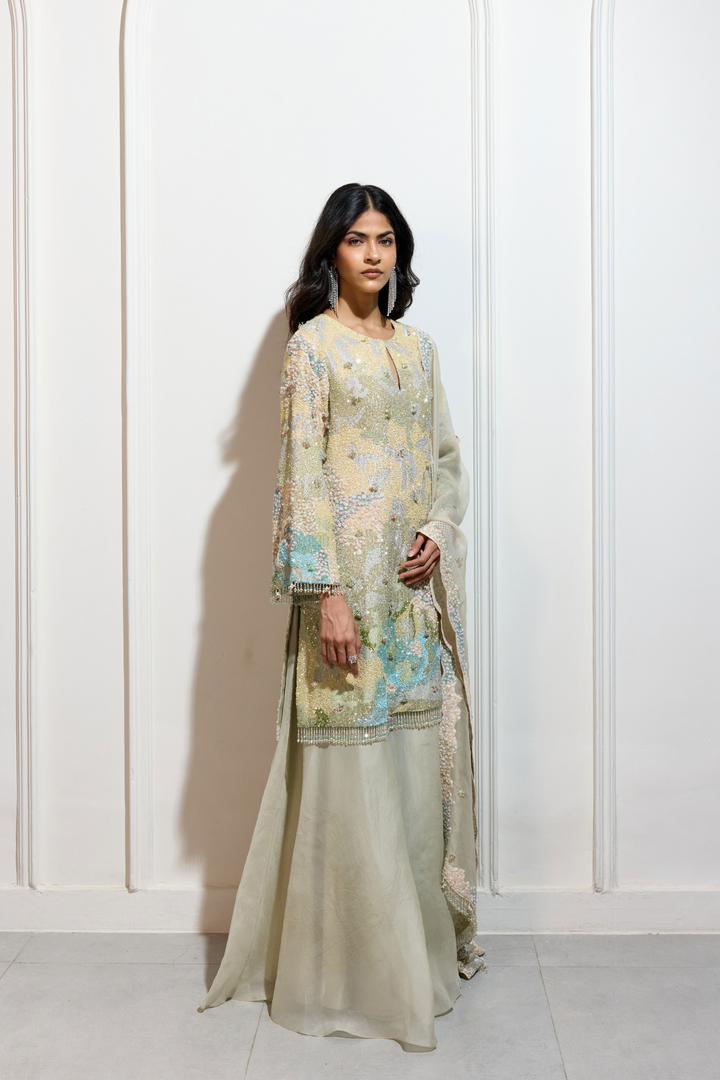 The Pastel Garden Sharara Set
